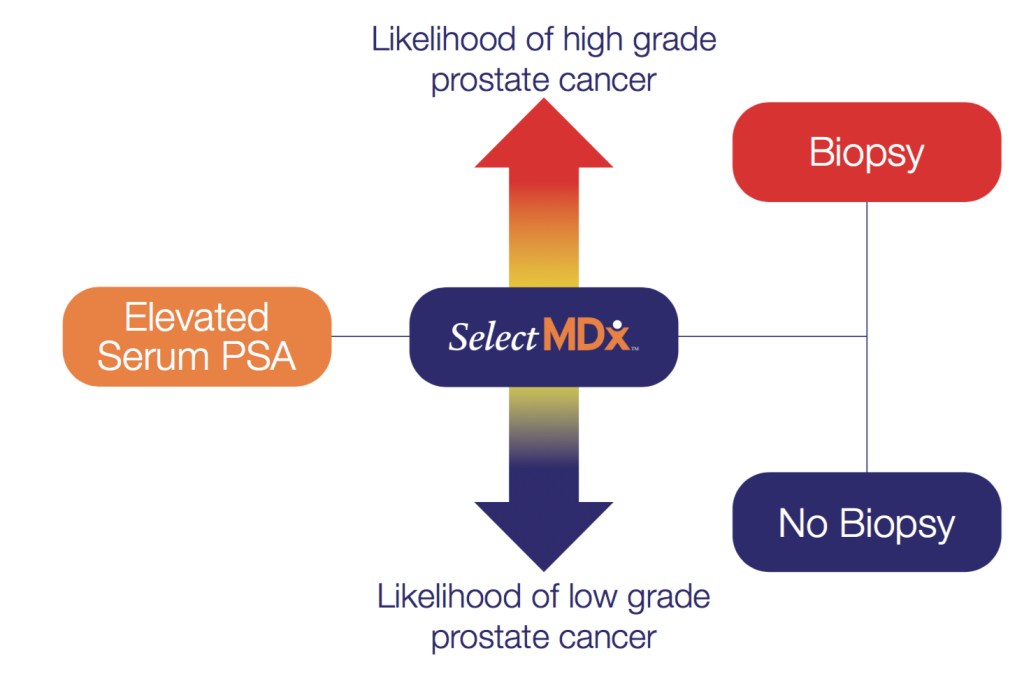 Prostate cancer genetic markers - Prostate cancer genetic markers